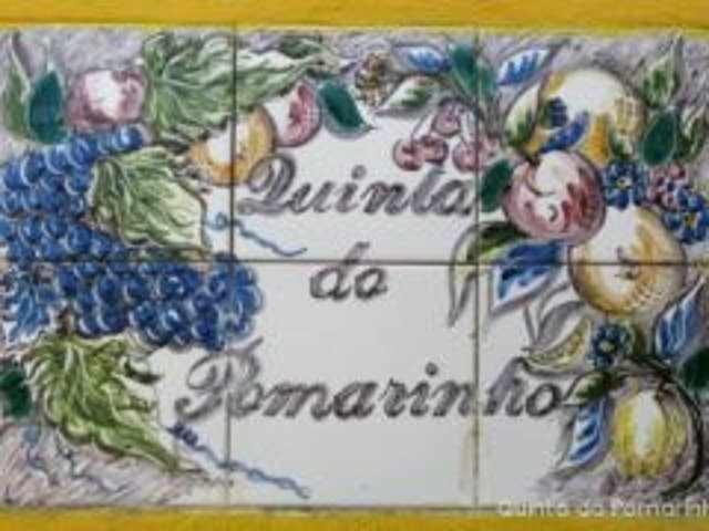 הוילה ארוקה Quinta Do Pomarinho מראה חיצוני תמונה